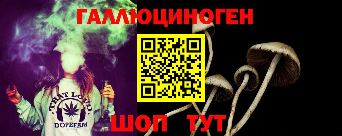 Галлюциногенные грибы мицелий  Галлюциногенные грибы прущие грибы  Конаково  Вход с VPN 
